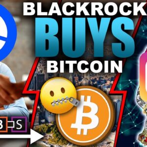 WORST STATE TO MINE BITCOIN! (Instagram rolling out NFTs?)