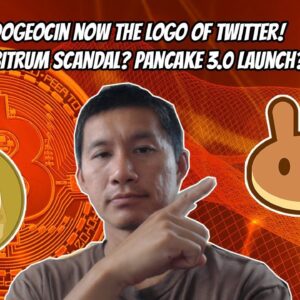 Bitcoin on verge of breakout? Dogecoin now the official logo of twitter? Pancake 3.0 launch?
