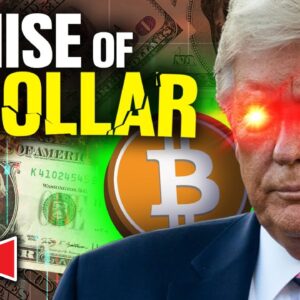 Bitcoin Prepares For MASSIVE Move! (Trump Predicts The Dollar's DEMISE)
