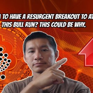 IOTA to have a Resurgence to ATH next Bullrun? Here's why.