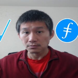 Vechain(VET), Filecoin, and other China related coins to moon this summer as Hong Kong opens?