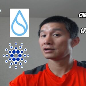 Cardano, Vechain, SUI, Crypto Rumors tonight