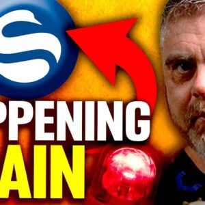 ⚠️WARNING⚠️ Swan Is The Next FTX!