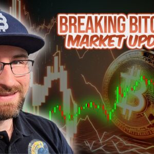 PayPal Launches PYUSD - Bricks and Moons Listed on Kraken - DODO - NOVA - APE [Breaking Bitcoin]