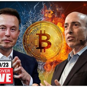 Elon Musk & Mark Cuban Join the Crypto Fight! (Bitcoin Bull Flag Forming)