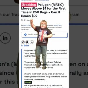 Do you have Polygon (MATIC) in your portfolio? #crypto #polygon #investing