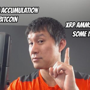 Bitcoin sees HUGE whale accumulation. 52k BTC in a day! XRP AMM has technical issues