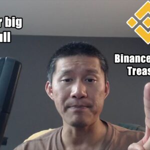 ETH TrustFund DAO Rugpulls!! Binance buying US treasuries bonds. Will it be back in the USA?