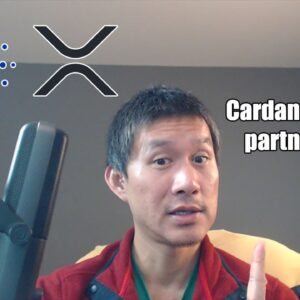 Cardano(ADA) and XRP partnership brewing?