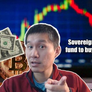 Sovereign Wealth fund being established! Will it be used to buy Crypto?