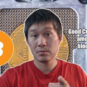 Good Crypto News Among the Bloodshed