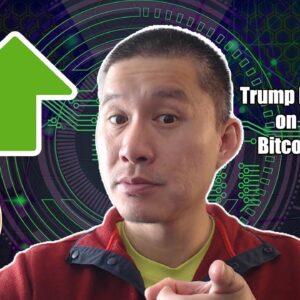 Trump Backing off on Tariffs? Bitcoin Recovery in sight?