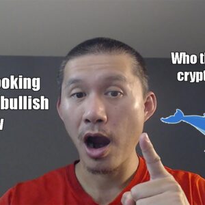 Crypto looks way more Bullish after today! These are the biggest Crypto Whales right now