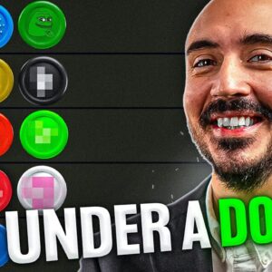 Best Altcoins UNDER $1!