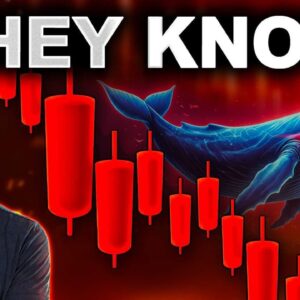 The Crypto Market Is RIGGED!? What You NEED To know!!